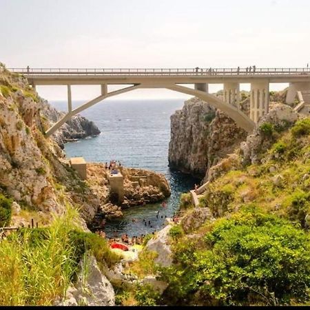 Casa Vacanze "Il Carrubo" Гальяно-дель-Капо Экстерьер фото